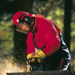 Steel Mesh Visor Attached To Helmet With Earmuffs Forestry