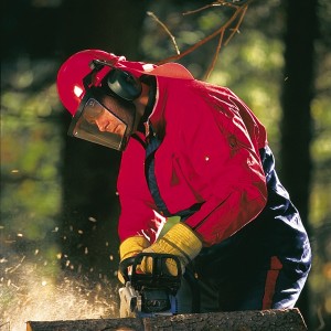 Steel Mesh Visor Attached To Helmet With Earmuffs Forestry